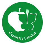 logo cueillette urbaine vert